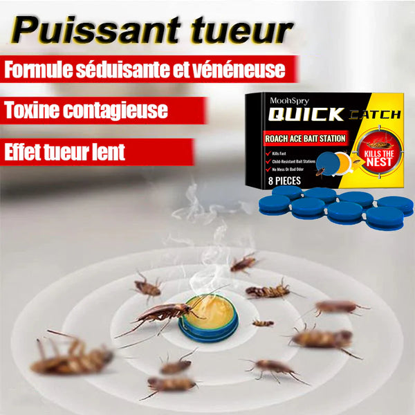 Quick Catch – Appât Anti-Cafards